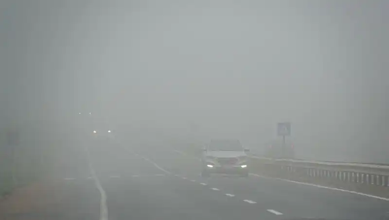 Tekirdağ'da Görüş Mesafesi Sıfıra İndi: Yoğun Sis Alarmı!