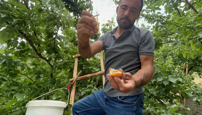 50 TL ile 70 TL Arasında Bulunan Eşsiz Lezzetler: Nedir Bu Damak Şöleni?