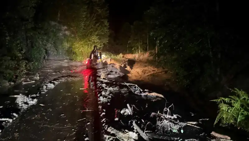Rize'de Şiddetli Yağışlar: Sel, Su Baskınları ve Heyelanların Yol Açtığı Felaket