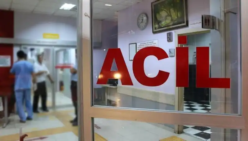 Rize’de Feci Kaza: Ağaç Kesimi Kanlı Bitti, Bir Hayat Kaybedildi