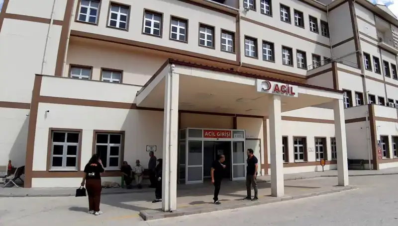 Bolu'da Ayı Avı Kararı: Doğa ve İnsan Arasındaki Denge Nasıl Korunacak?