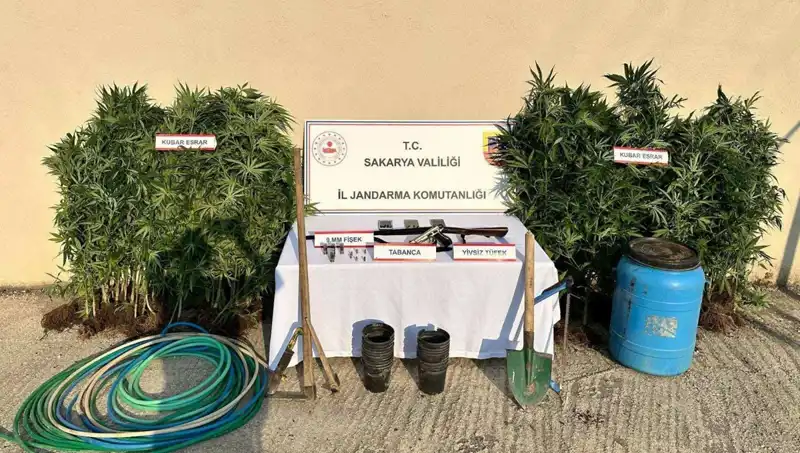 Sakarya’da Şok Uyuşturucu Operasyonu: Tek Tutuklama ile Sonuçlandı