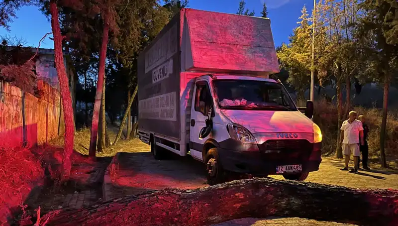Seyir Halindeki Kamyonete Devrilen Çam Ağacı Şok Yarattı