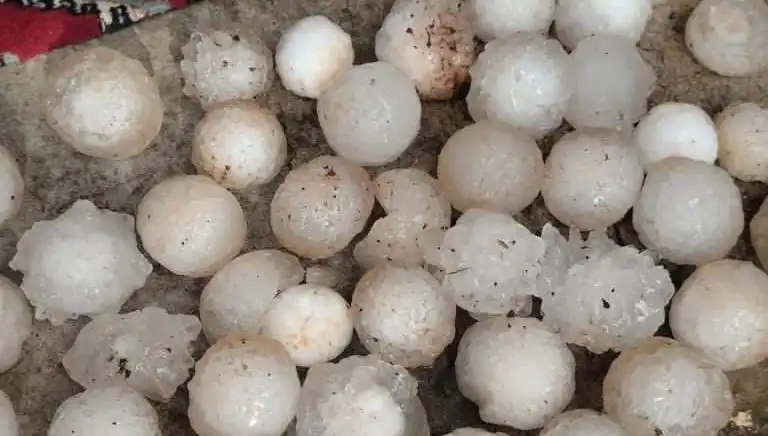 Şanlıurfa'da Kar Topu Büyüklüğünde Dolu Yağışları Şaşırttı
