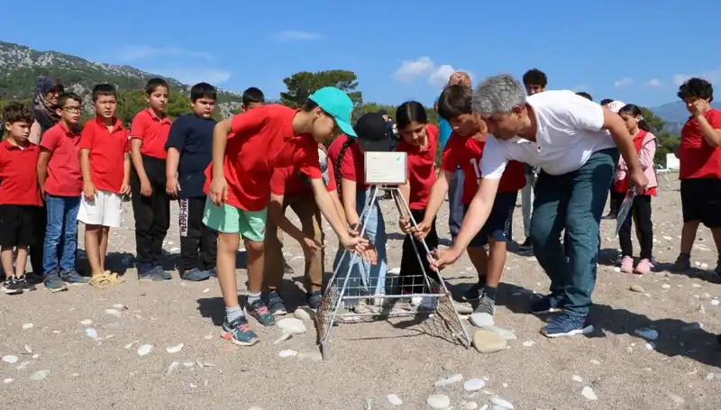 Kemer'de Caretta Caretta Koruma Yasakları Başladı: Plajlar Artık Kapalı