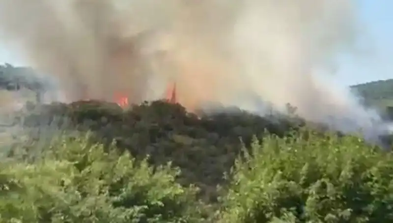 İstanbul’da Çıkan Orman Yangını: Mahalleler Tahliye Edildi