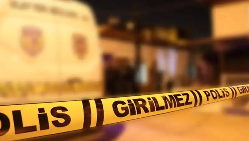 Diyarbakır’da Kayınpeder Dehşeti: Korkunç Olayın Perde Arkası Neler?