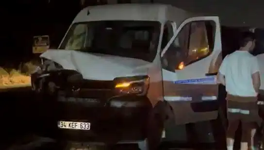 İstanbul'da Manda Kazası: Üç Kişi Yaralandı, Olayın Detayları Şok Etti