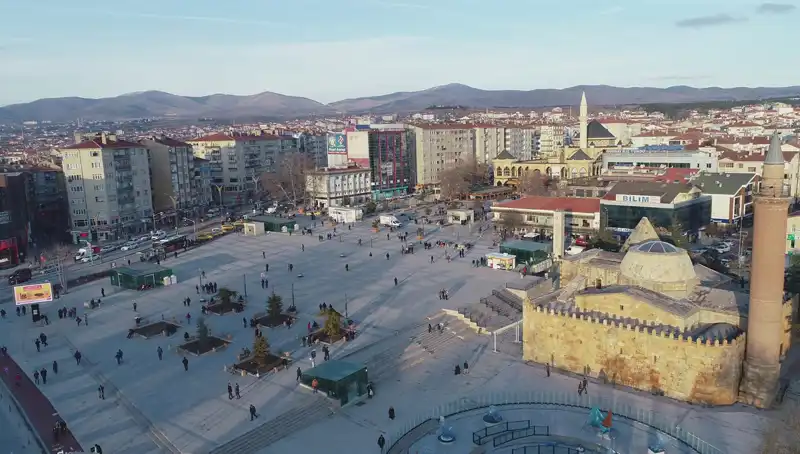 Kırşehir'de Keşfedilen Yeni Böcek Türü Bilim Dünyasında Şok Etkisi Yarattı