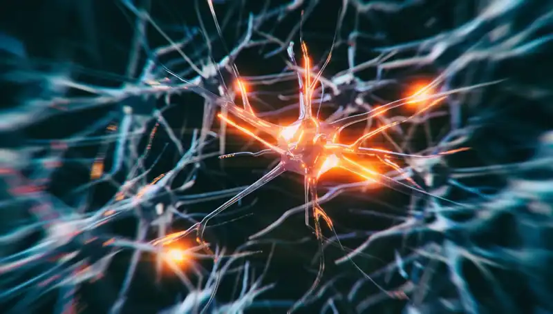 Alzheimer Vakalarındaki Artışın Nedenleri ve Geleceğe Yansımaları