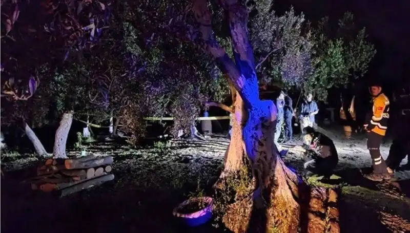 Çiftlikteki Baltalı Vahşet: Olayın Arkasındaki Sırrı Çözmeye Bir Adım Daha Yaklaşıldı