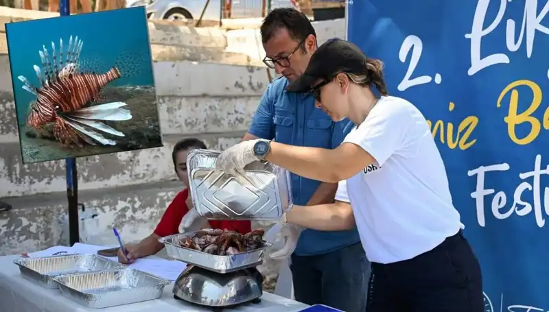 Antalya'da İstilacı Aslan Balığı Avlama Yarışması: Ekosistemi Korumak İçin Bir Mücadele