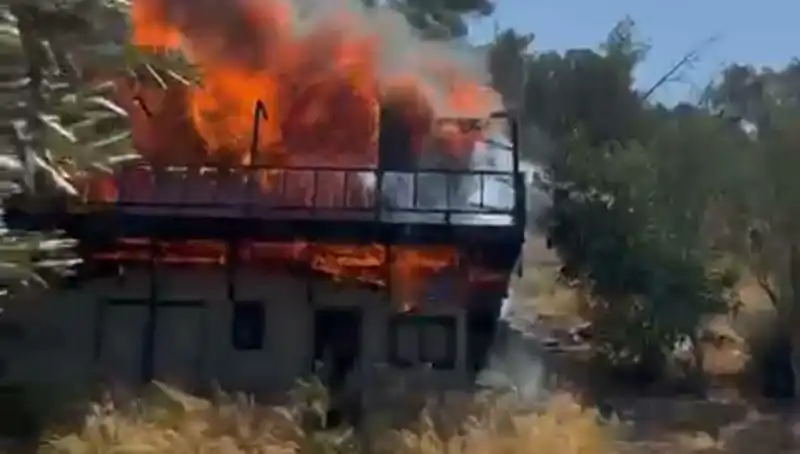 Bodrum'da Yangın Alarmı: Ekipler Hayat Kurtarmak İçin Seferber Oldu
