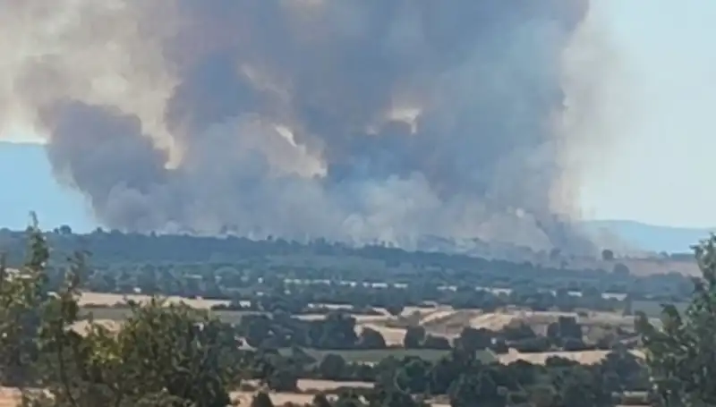 Komşudaki Orman Yangını Edirne'yi Dumana Gömerek Alarma Geçirdi